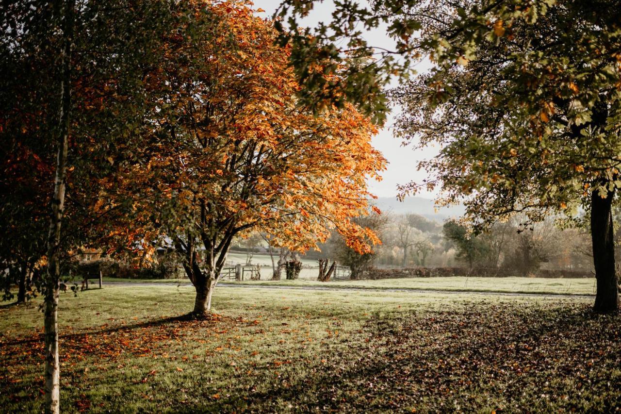 Caplor Glamping & Lodges Hereford Exterior foto